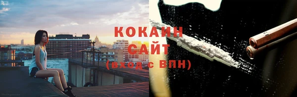 крисы Дмитриев